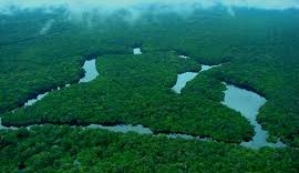 Brasil tem redução dos alertas de desmatamento na Amazônia e no Cerrado