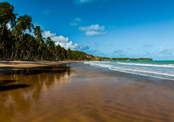 Setor turístico prepara praias para selo Bandeira Azul