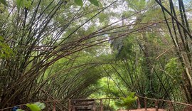 Parques de Maceió terão horário especial durante a Semana Santa; confira