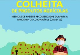 Mapa lança cartilha com medidas de higiene para colheita