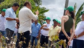 Agricultores familiares testam plantio de algodão