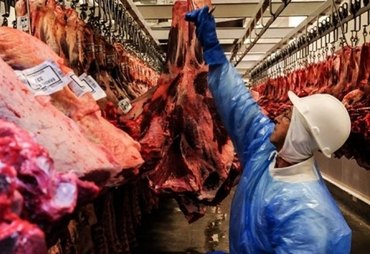 Brasil atinge 80% da cota de exportação de carne bovina para a China