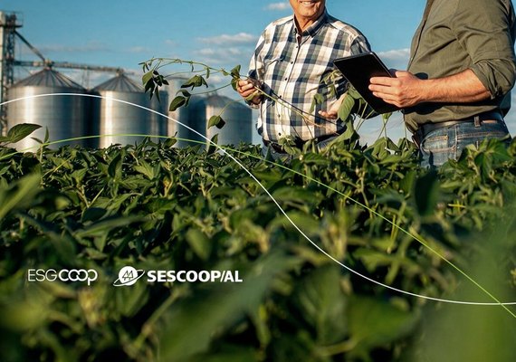 Evento sobre eficiência energética e agropecuária fortalece cooperativas de AL