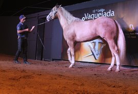 14º Leilão Vaquejada e Trabalho disponibiliza 48 lotes