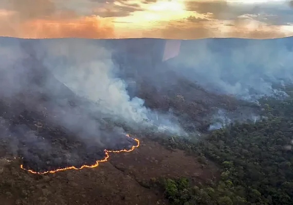 Brasil concentra 76% dos incêndios na América do Sul