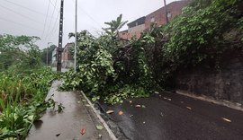 Chuvas causam alagamentos e deslizamentos em Maceió