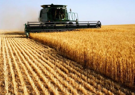 MP deve ampliar créditos para financiamento do agronegócio