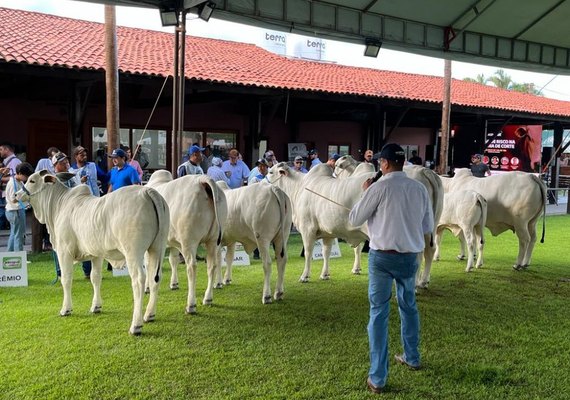 Expoalagoas Genética vai acontecer de 15 a 21 de abril no Parque da Pecuária
