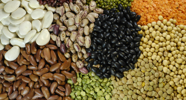 Exportações brasileiras de pulses crescem 30% em 2025