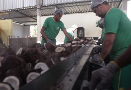 Redução na mistura de biodiesel ao  diesel deve afetar agricultura familiar