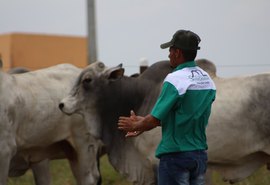 Time do 3º Estrelas do Norte está pronto para remate