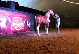 3º Marchador da Serra oferta 40 lotes de animais de sela