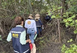MPF acompanha recuperação de manguezais na Ilha do Lisboa, em Maceió