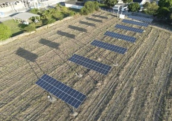 Ufal desenvolve projeto que combina energia solar para impulsionar cultivo de cana