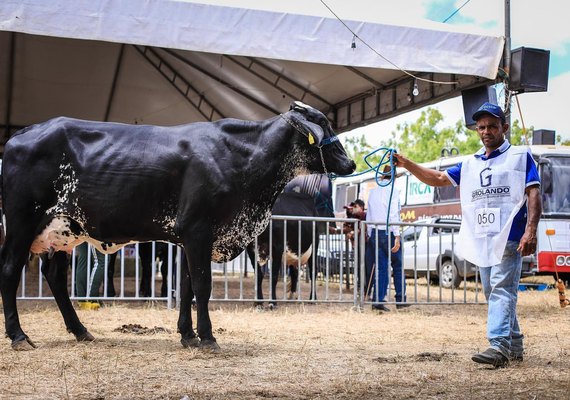 Expo Bacia Leiteira 2022 vai fortalecer pecuária leiteira regional