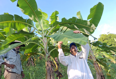 Precisa dever muito? Veja o valor mínimo para recuperação judicial no campo