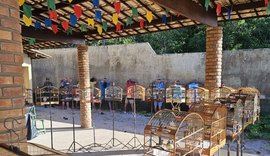 Alagoas registra redução de 47% nos crimes de cativeiro ilegal de animais silvestres em 2025