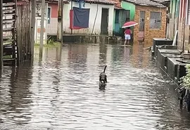 Lagoa transborda, ruas alagam e aulas são suspensas em Marechal Deodoro