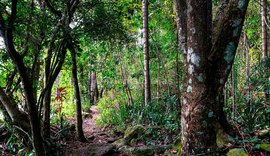 Pindorama e IPMA promovem seminário sobre percepção ambiental