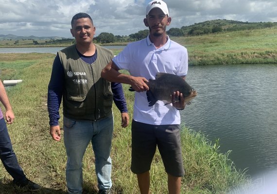 Criação de peixe vira case de sucesso no Agreste de Alagoas