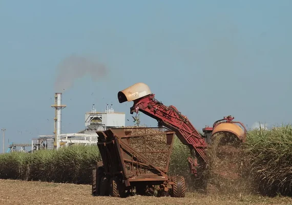 Encontro de fornecedores de cana marca nova era do mercado de carbono em AL