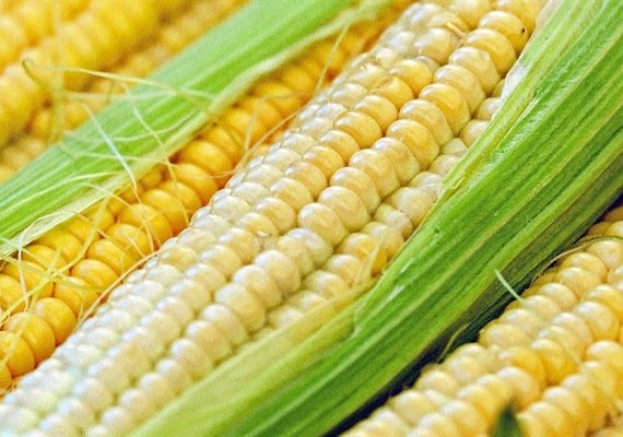 Preços do milho seguem estáveis no Brasil