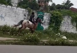 'Eu vou em 60 e ele está em 200': influenciador filma menino disparado a cavalo em via de Maceió