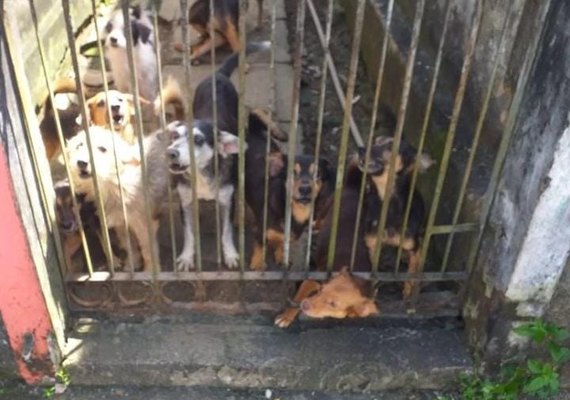 Homem é preso por negligencia e maus tratos a animais  em Maceió