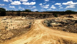 Alagoas registra aumento da área com seca, aponta Monitor de Secas