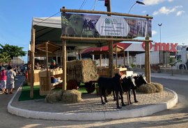 Faeal/Senar marcam presença na Expoagro com estande ao produtor