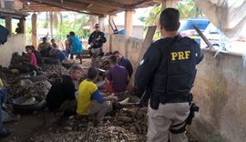 MPT instaura inquérito que responsabiliza empresas por incentivar trabalho escravo