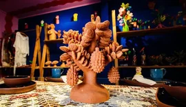 Assembleia aprova fundo para financiar artesanato em Alagoas