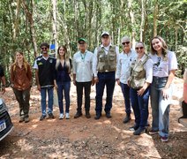 Papagaios-do-mangue e jabutis chegam a Alagoas para reforçar programa de refaunação e replantio de florestas