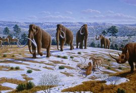 Estudo questiona papel humano na extinção da megafauna nas Américas