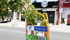 Projeto Algás Calçada Verde arboriza 13 bairros de Maceió em 2019