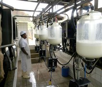 Atividade leiteira fecha ano de 2023 com preços em baixa