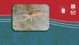 Projeto promove ações para repovoar o Rio São Francisco com Camarão Pitu