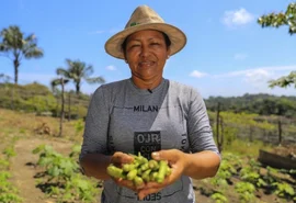 Cooperativas de crédito aumentam rentabilidade no campo