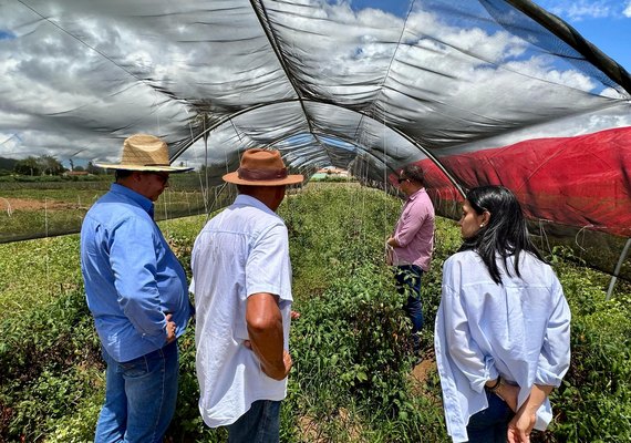 Secretaria de Agricultura vai implantar vitrine tecnológica no Sertão