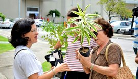 Semana Maceió Mais Sustentável doará mais de mil mudas