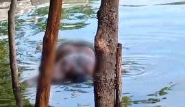 Corpo de homem é encontrado por pescadores na Lagoa Mundaú, em Maceió