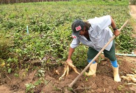 Alimentos da agricultura local serão apresentados em feira internacional