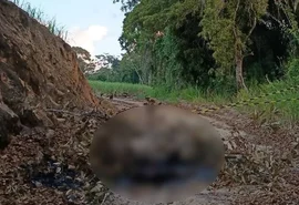 Corpo carbonizado é localizado em área de usina em Rio Largo