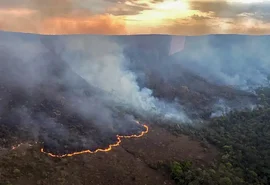 Brasil concentra 76% dos incêndios na América do Sul