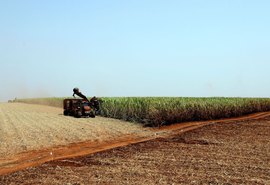 46 novos defensivos agrícolas recebem registro