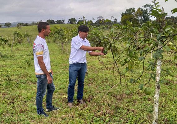 Produtores investem em diversificação de fruticultura