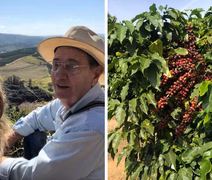 Produtores de café investem no cultivo do grão com menor teor de cafeína