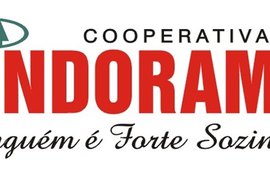 Pindorama realiza dia de campo sobre alta produtividade do canavial