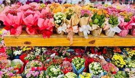 Flores ganham espaço no Dia das Mães como símbolos de cuidado diário