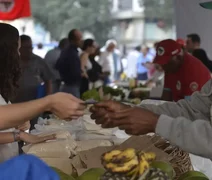 Programa Desenrola Rural entra em vigor nesta segunda-feira